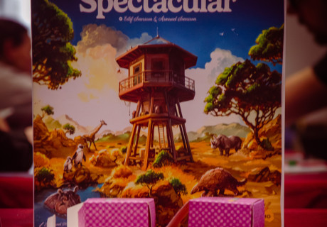 jeux-de-societe-zoom-2836
