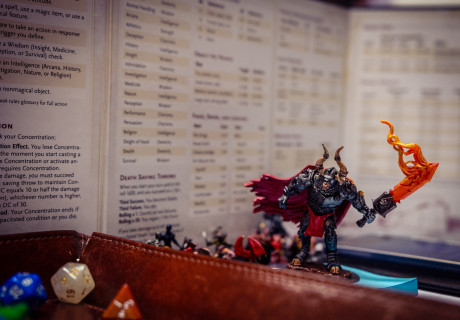 dnd-zoom-1383